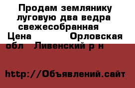 Продам землянику луговую два ведра, свежесобранная . › Цена ­ 1 000 - Орловская обл., Ливенский р-н  »    